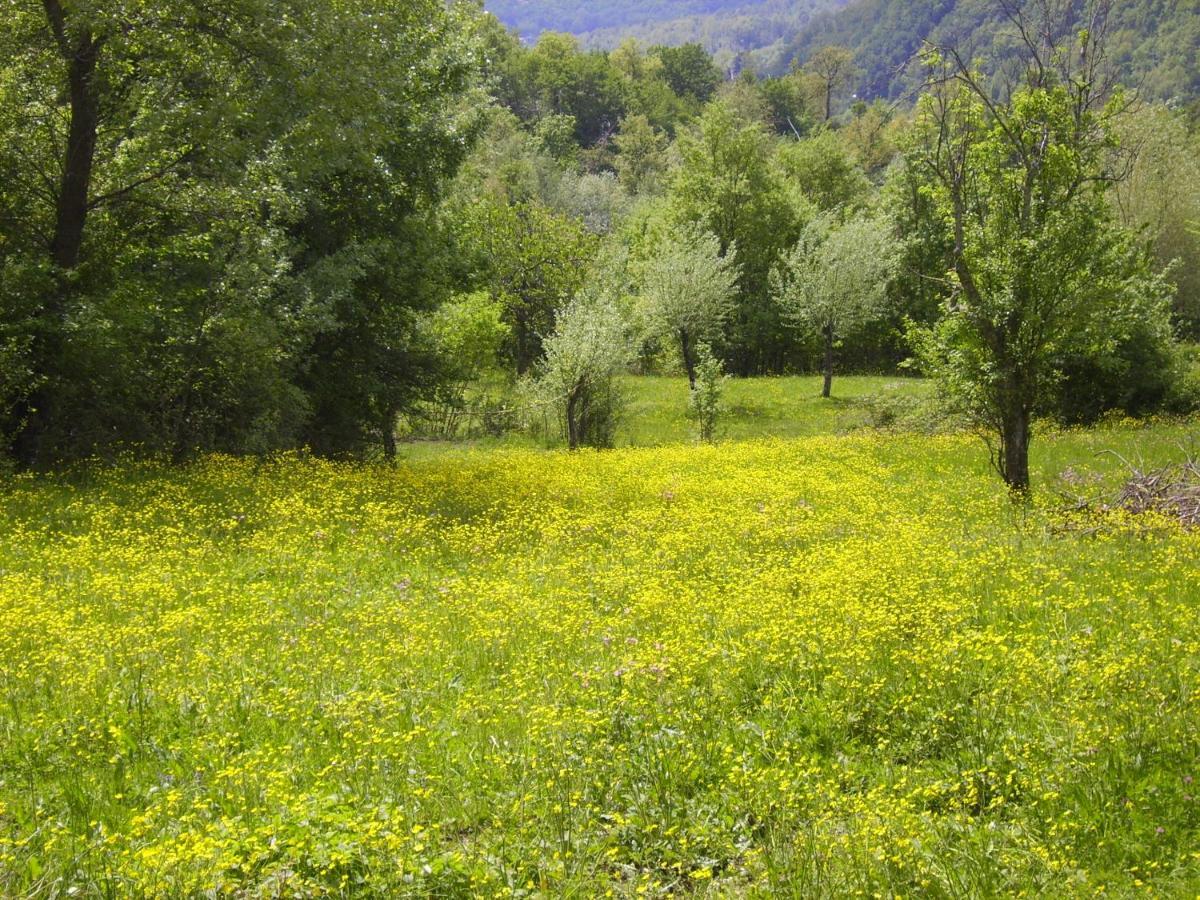 B&B Podere Bramapane Montelungo Superiore Buitenkant foto